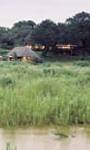 Holidays to Kruger National Park - Main Camp, Mala Mala Game Reserve, Sabi Sands