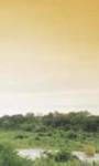 Holidays to the Tinga Private Game Lodge, Kruger South Africa