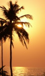 Holidays to The Hermitage Goa