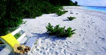 Holidays to the Bird Island Lodge, Seychelles