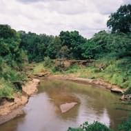 Image Gallery - Governors Camp Masai Mara