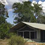Kenya safari holidays -  Porini Lion Camp