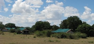 Image Gallery - Porini Lion Camp, Masai mara
