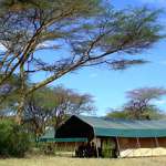 Kenya safari holidays - Mara Porini Camp