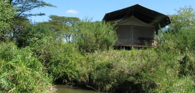 Image Gallery - Mara Porini Camp, Masai Mara
