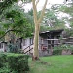 Kenya safari holidays -  Sarova Lion Hill Lodge