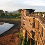 Kenya safari holidays -  Treetops