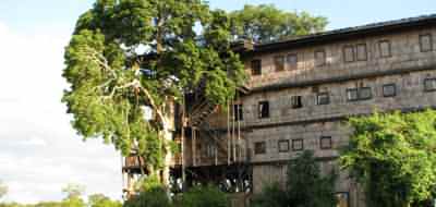 Image Gallery - Treetops Lodge, Aberdares Kenya
