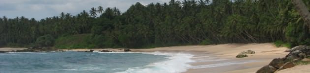 Longhaul holidays from Escape Worldwide - Beaches of Southern Sri Lanka
