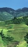 Holiday excursion to Sa Pa in Vietnam