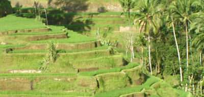 Inland Bali