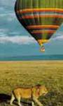 Hot Air ballooning over the Masai Mara