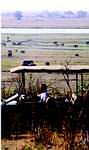 Holidays to Botswana - Chobe National Park
