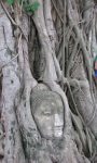 Multi centre holidays to bangkok, Koh Samui and Koh Phang Ngam