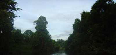 Touring holidays to Borneo, Natural Wonders of Borneo escorted tour