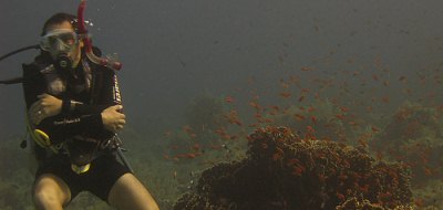 Diving in the Red Sea (Photography by Ez Brown)