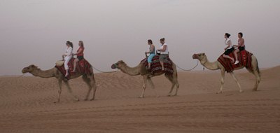 Camel riding, Dubai