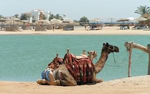 Special offers on holidays to Hurghada and El Gouna