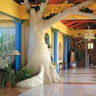 Holidays to the Paradisus Rio de Oro, Guardalavaca Cuba