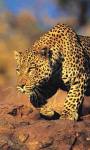 Holidays to Namibia - Namibian Discovery tour