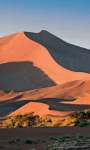 Holidays to Namibia - Wild dog Namibian Explorer mobile camping safari