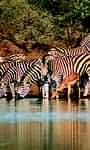Holidays to Namibia - Etosha by road