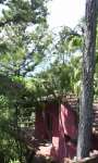 Holidays to the Hotel Gran Piedra, Santiago Mountains Eastern Cuba