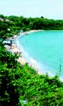Holidays to Pattaya - Cosy Beach Hotel Pattaya Thailand