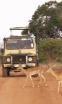 Safari holidays to Kenya - Samburu Safari