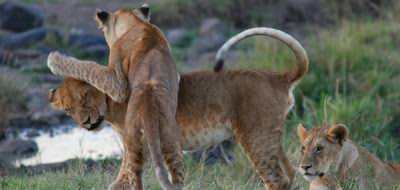 Masai Safari plus Seychelles holidays - photo taken by Mr Gary Smith