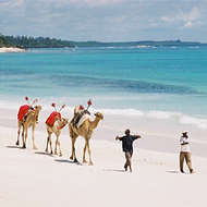 Heritage Flying Safari plus Mombasa holiday - Safari itinerary