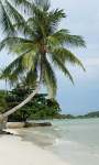 Multi centre holidays to Bangkok, Northern Thailand and Koh Samui