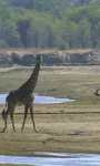 Holidays to Zambia and Malawi