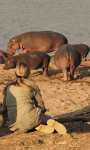 Holidays to Zambia - Off the Beaten Track safari
