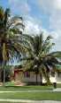 Holidays to the Hotel Playa Giron Bay of Pigs Cuba
