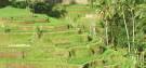 Hotels and resorts in Ubud, Candidasa and Tembok