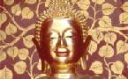 Chiang Mai & Northern Thailand holidays