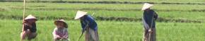 Holidayus to Ubud Bali