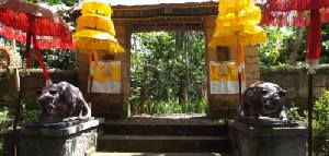 Holidays to Ubud Bali