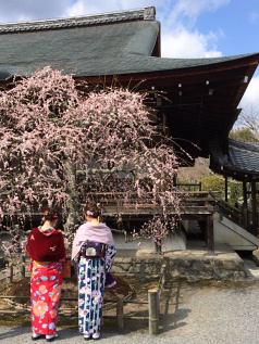 Holidays to Japan by train including Tokyo Kyoto Hiroshima and Osaka