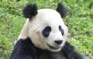 Holidays to Beijing with Escape Worldwide - Great Wall of China at Mutianyu