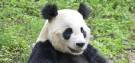 Twin and multicentre holidays to China