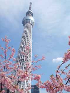 Holidays to Japan by train including Tokyo Kyoto Hiroshima and Osaka