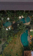 Holidays to the Alaya Resort Ubud