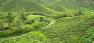 Holidays to Borneo and Beyond
