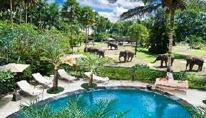 Holidays to the Elephant Safari Park Lodge, Ubud, Bali Holidays to the Elephant Safari Park Lodge, Ubud, Bali