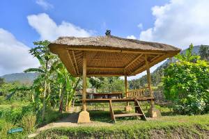Holidays to the Alila Manggis - Candidasa, Bali