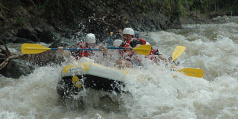 Sightseeing and excursions in Borneo