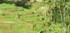 Multicentre holidays to Bali beach, Ubud and Lombok