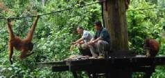 Multicentre holidays to Penang, Langkawi and Borneo